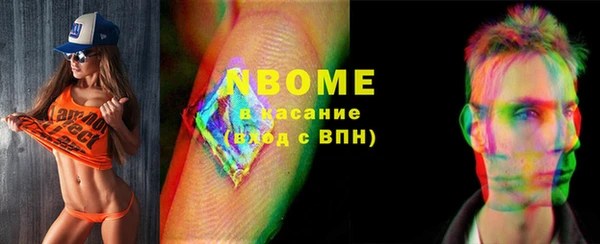 соль ск Бородино
