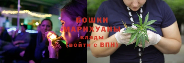 гашик Бронницы