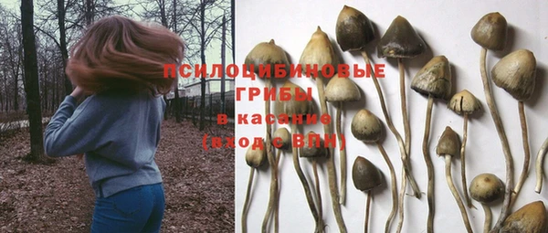 гашик Бронницы