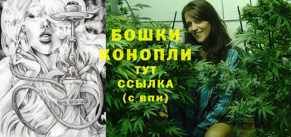 соль ск Бородино